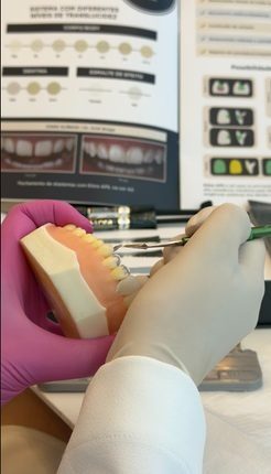 Seleção de materiais em modelo de estudo